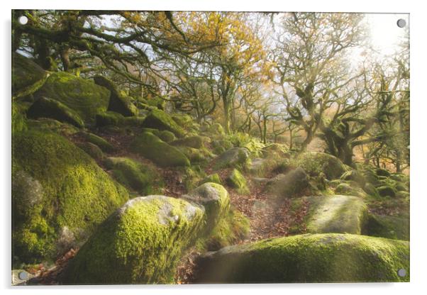 The Magical Wistmans Wood Acrylic by Images of Devon