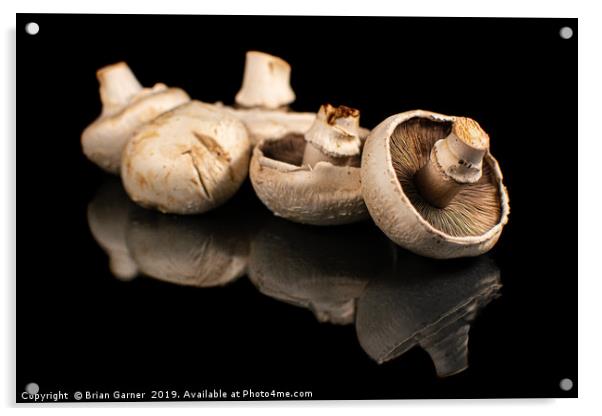 Mushroom Still Life Acrylic by Brian Garner