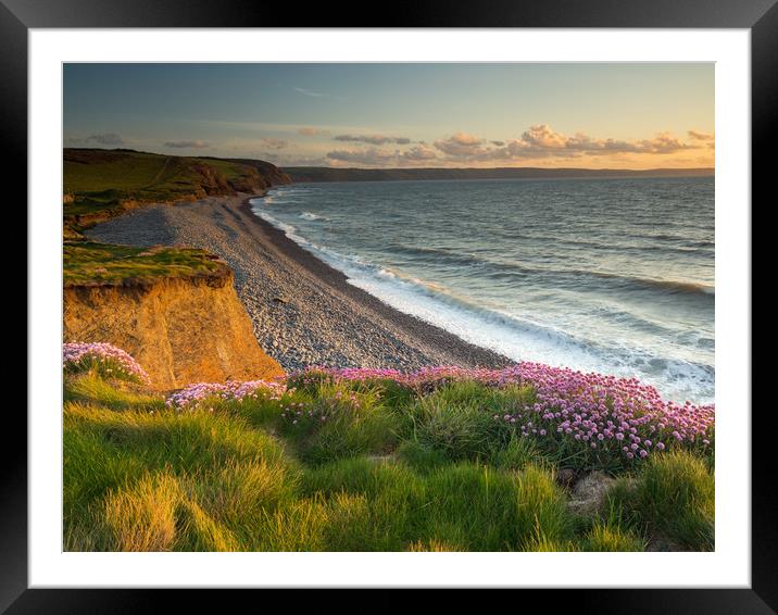 Coast path at Sunset near Westward Ho , Devon Framed Mounted Print by Tony Twyman