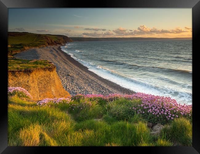 Coast path at Sunset near Westward Ho , Devon Framed Print by Tony Twyman