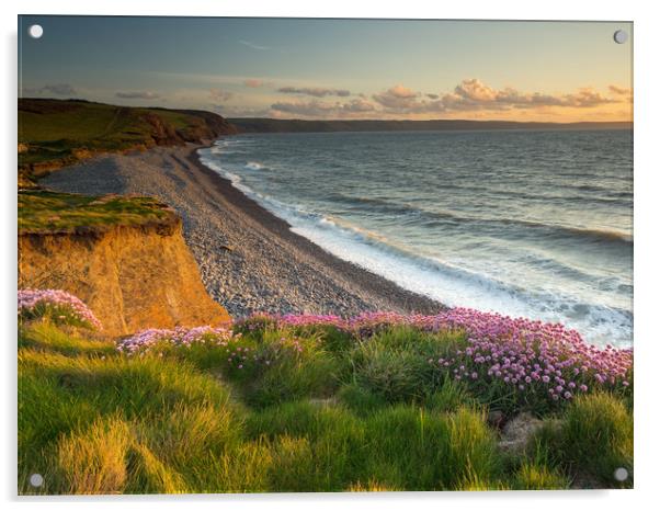 Coast path at Sunset near Westward Ho , Devon Acrylic by Tony Twyman