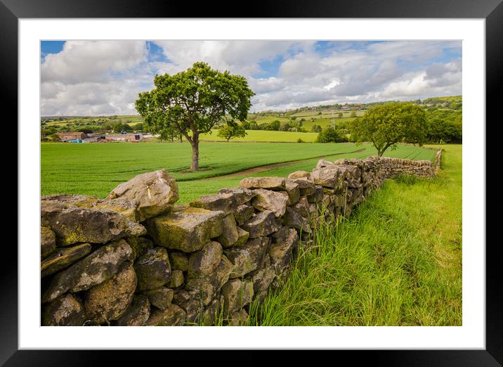 Baildon, Yorkshire. Rich colours after rainfall. Framed Mounted Print by Ros Crosland