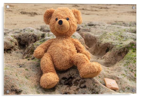 Teddy On The Beach Acrylic by LensLight Traveler