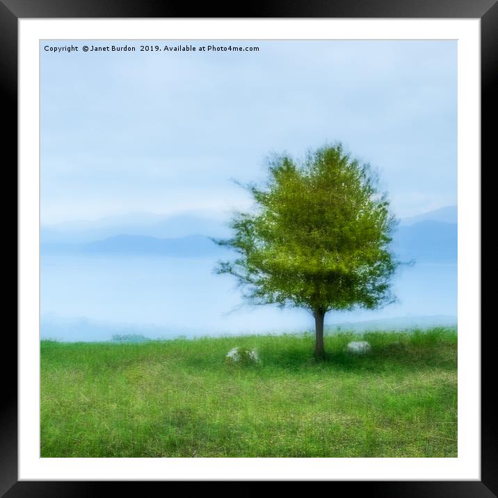 The Lone Tree Framed Mounted Print by Janet Burdon