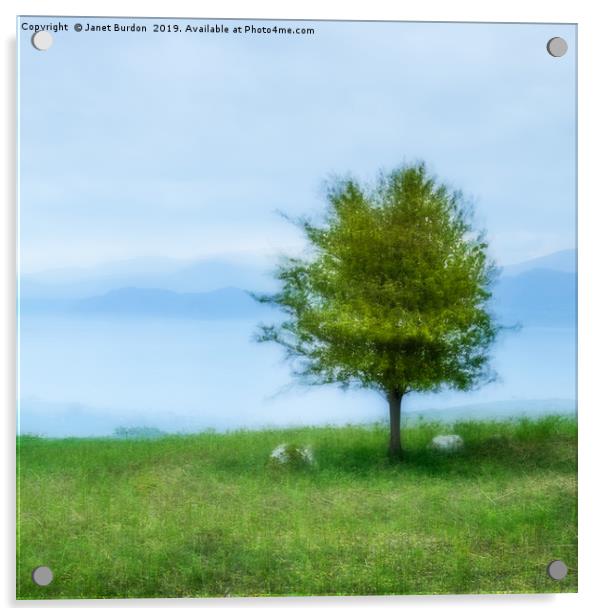 The Lone Tree Acrylic by Janet Burdon