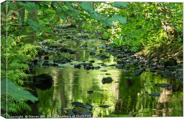 Shallow Sunlit Rocky Stream. Canvas Print by Steven Gill
