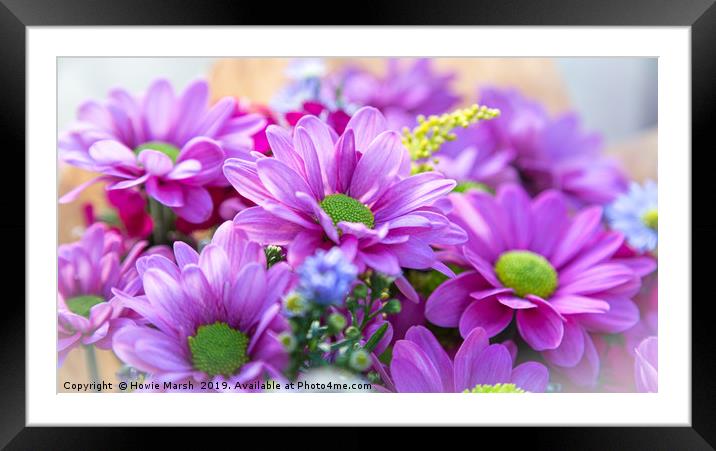 Purple or Green Framed Mounted Print by Howie Marsh