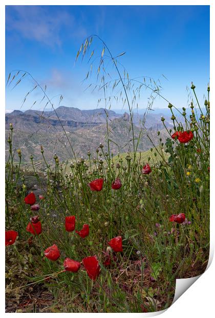 Spring In Gran Canaria Print by LensLight Traveler