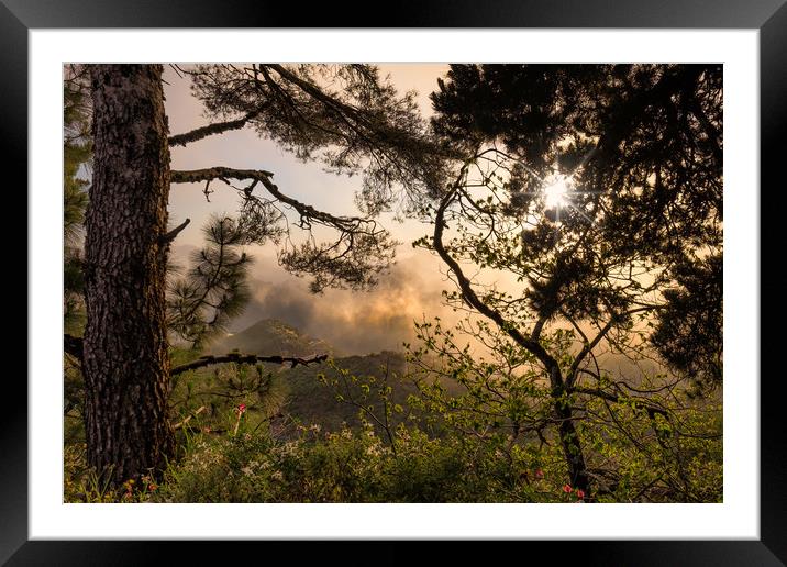 Dawn In The Mountains Framed Mounted Print by LensLight Traveler