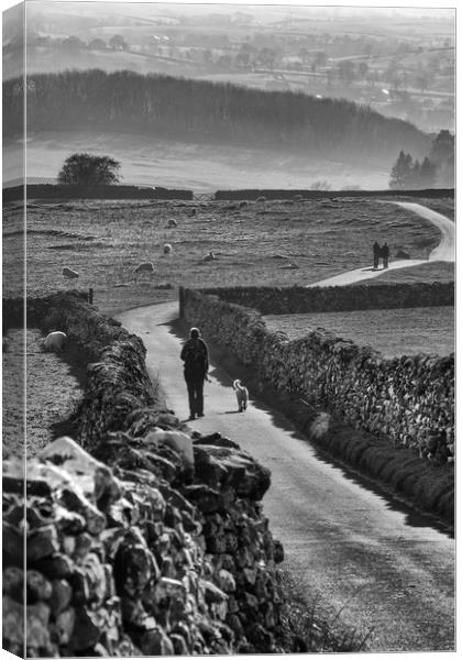 A Sunday Walk In The Yorkshire Dales Canvas Print by LensLight Traveler