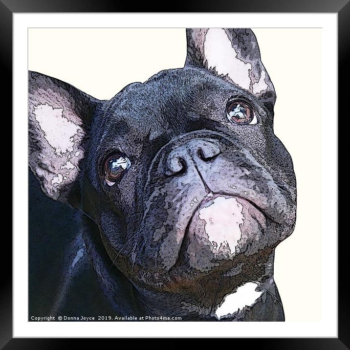 French Bulldog Framed Mounted Print by Donna Joyce