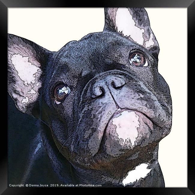 French Bulldog Framed Print by Donna Joyce