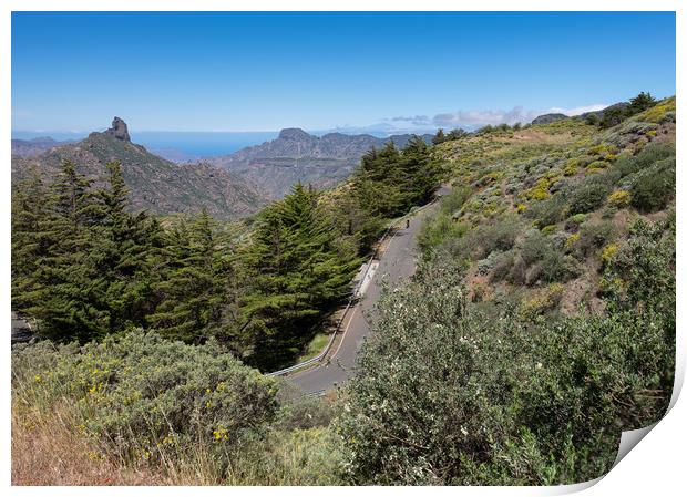 Winding Road In The Canary Islands Print by LensLight Traveler