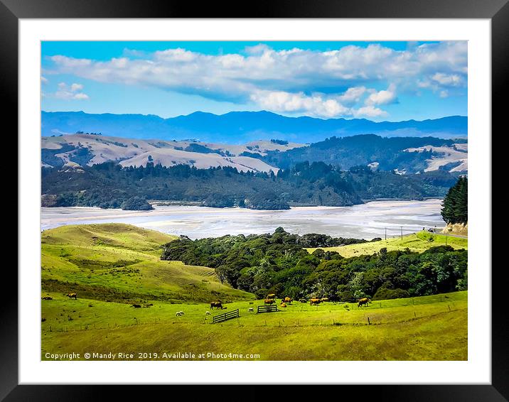 Up to the Coromandel Peninsular NZ Framed Mounted Print by Mandy Rice