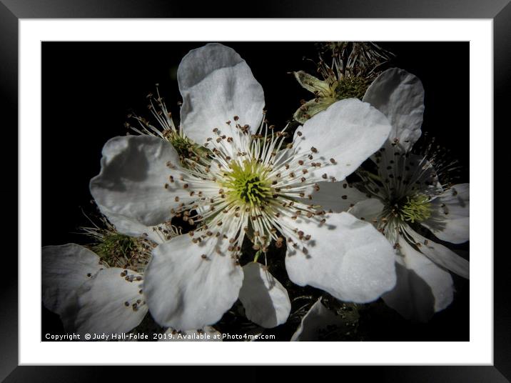 Nature in Your Face Framed Mounted Print by Judy Hall-Folde