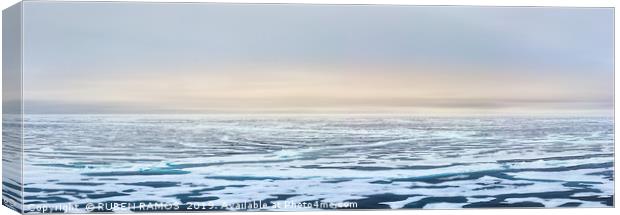 Ice edge of the Arctic ocean, Svalbard. Canvas Print by RUBEN RAMOS