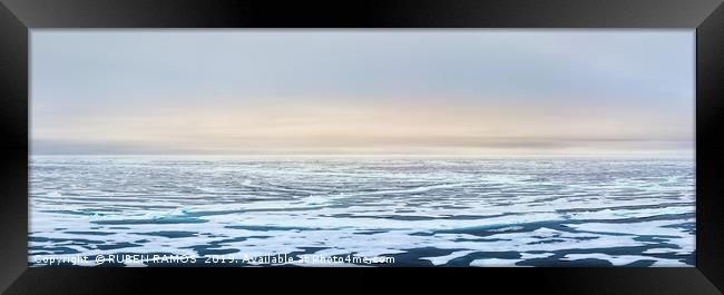 Ice edge of the Arctic ocean, Svalbard. Framed Print by RUBEN RAMOS