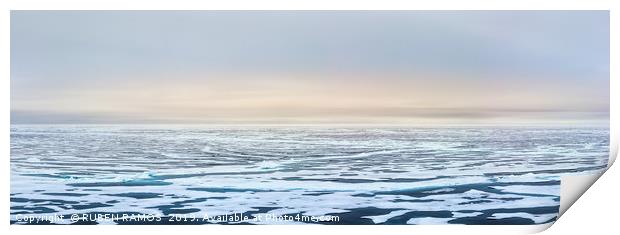 Ice edge of the Arctic ocean, Svalbard. Print by RUBEN RAMOS