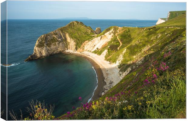 Jurassic coast scenery at Durdle door Canvas Print by Andrew Michael