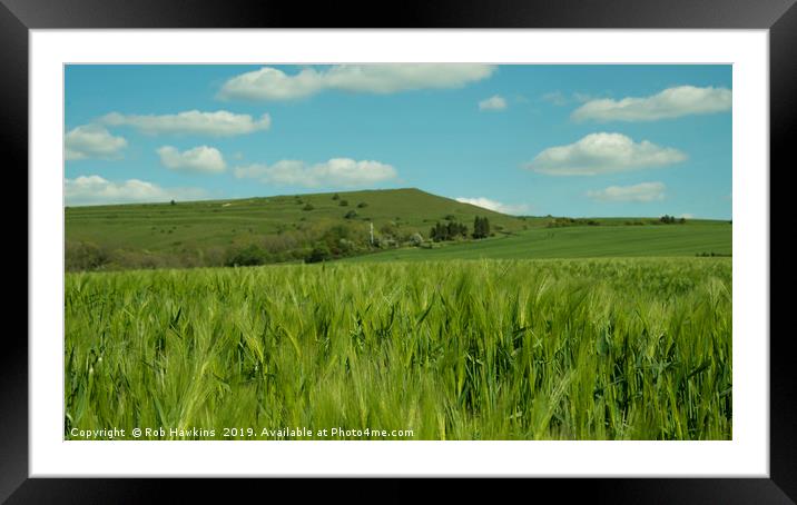 Field of Green  Framed Mounted Print by Rob Hawkins