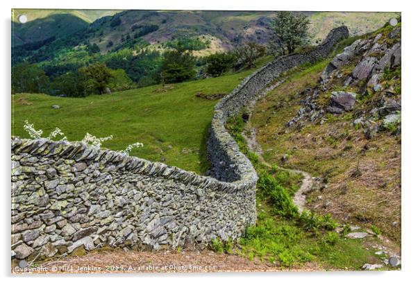 The Winding Drystone Wall Lake District Acrylic by Nick Jenkins