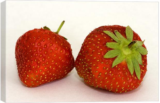 Strawberries Canvas Print by Brian Beckett