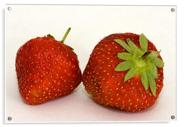 Strawberries Acrylic by Brian Beckett
