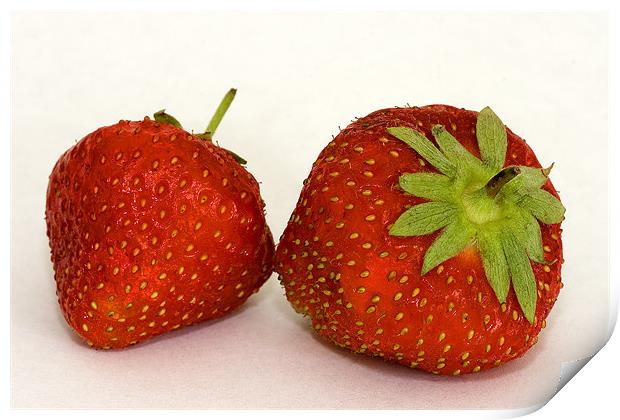 Strawberries Print by Brian Beckett