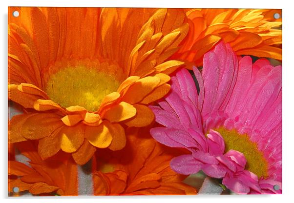 Orange and Pink Flowers Acrylic by Brian Beckett