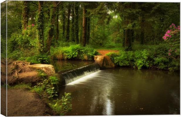 The winding river Llan at Penllergare woods Canvas Print by Leighton Collins