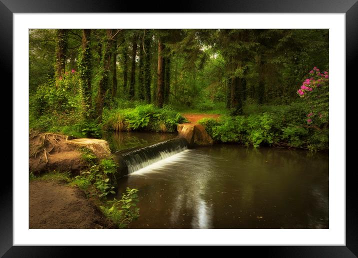 The winding river Llan at Penllergare woods Framed Mounted Print by Leighton Collins