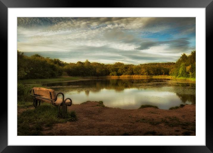 The lower lake at Penllergare woods Framed Mounted Print by Leighton Collins