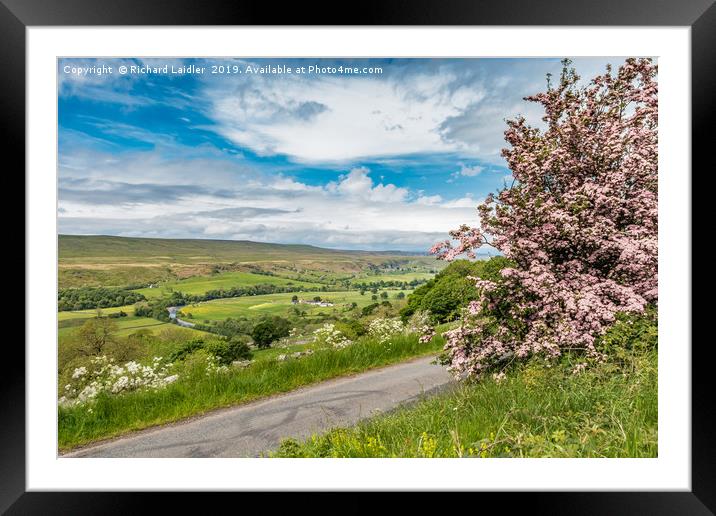 Pink Hawthorn and Holwick, Upper Teesdale Framed Mounted Print by Richard Laidler