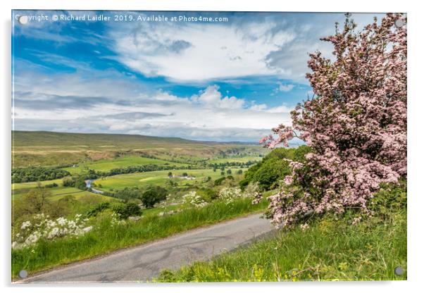 Pink Hawthorn and Holwick, Upper Teesdale Acrylic by Richard Laidler