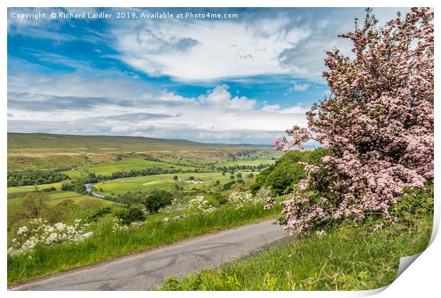 Pink Hawthorn and Holwick, Upper Teesdale Print by Richard Laidler