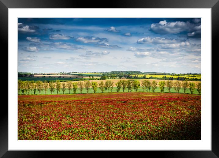 Rural landscape with clover field in Czech Republi Framed Mounted Print by Sergey Fedoskin