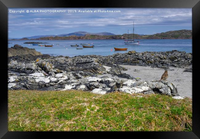 Bird's Eye View of Iona.. Framed Print by ALBA PHOTOGRAPHY