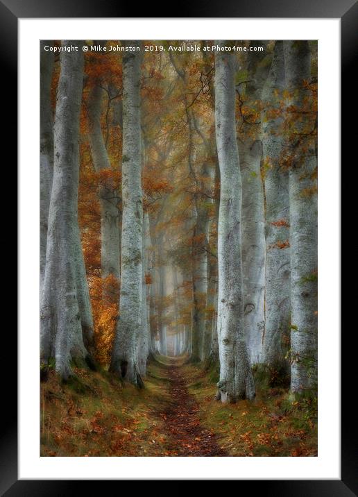 Beech tree lined path on misty autumn morning Framed Mounted Print by Mike Johnston