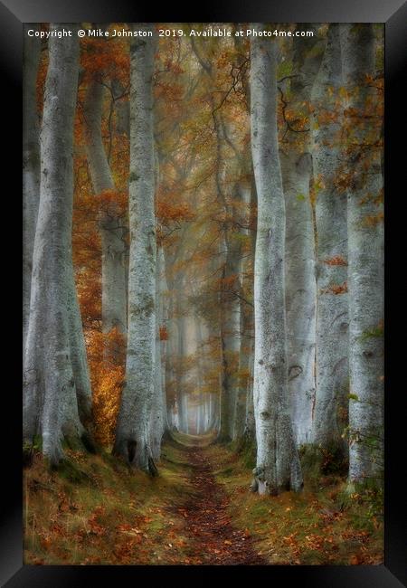 Beech tree lined path on misty autumn morning Framed Print by Mike Johnston