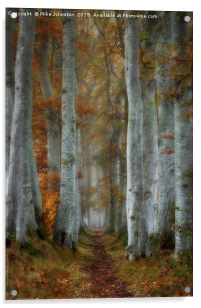 Beech tree lined path on misty autumn morning Acrylic by Mike Johnston