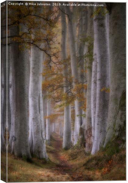 Beech tree lined path on a misty autumn morning Canvas Print by Mike Johnston