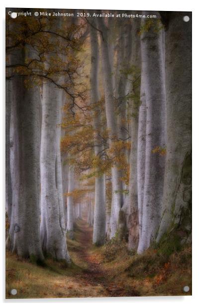 Beech tree lined path on a misty autumn morning Acrylic by Mike Johnston