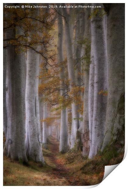 Beech tree lined path on a misty autumn morning Print by Mike Johnston