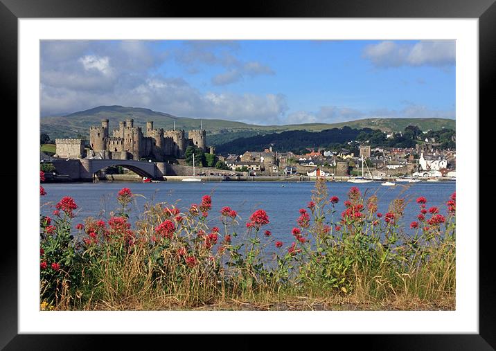 Conwy Framed Mounted Print by Gail Johnson