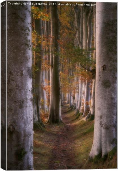 Deeside beech trees at sunset Canvas Print by Mike Johnston