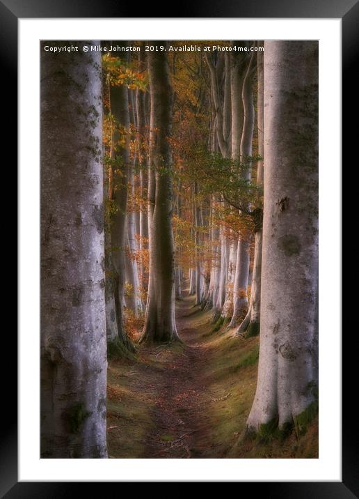 Deeside beech trees at sunset Framed Mounted Print by Mike Johnston