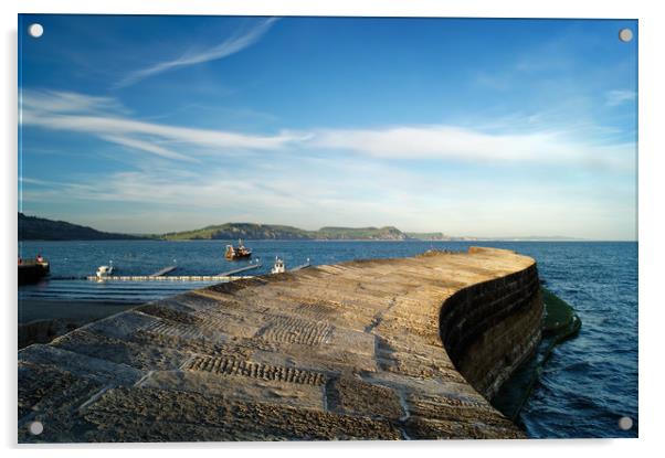 The Cobb, Lyme Regis                     Acrylic by Darren Galpin