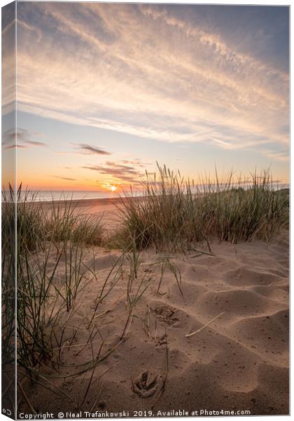 Holkham Beach Sand Dune Sunrise Canvas Print by Neal Trafankowski