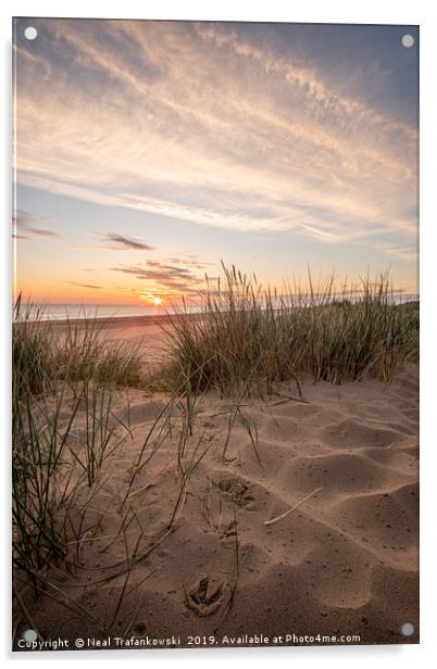 Holkham Beach Sand Dune Sunrise Acrylic by Neal Trafankowski