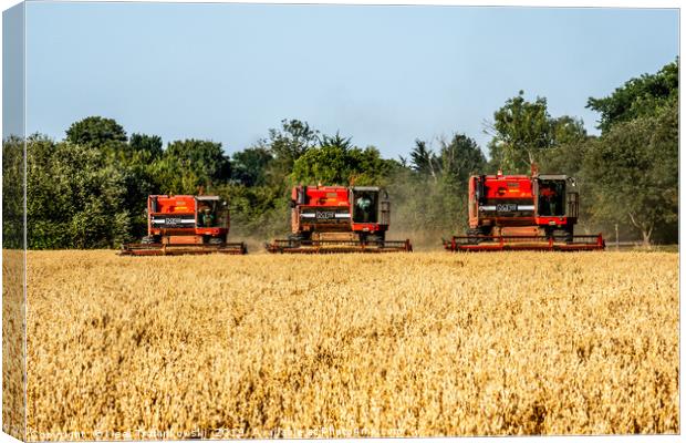 3 Inline Combine Harvesters Canvas Print by Neal Trafankowski